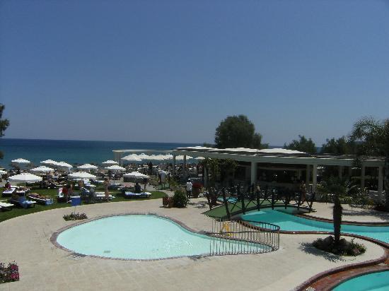 Calypso Palace 팔리라키 레스토랑 사진